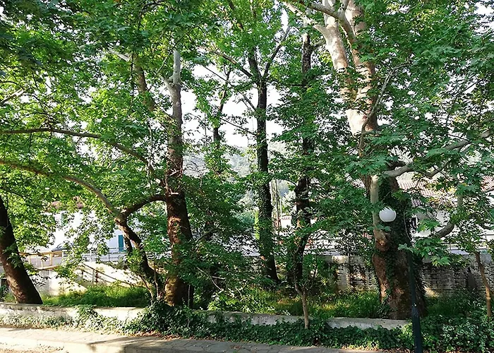 샬레 